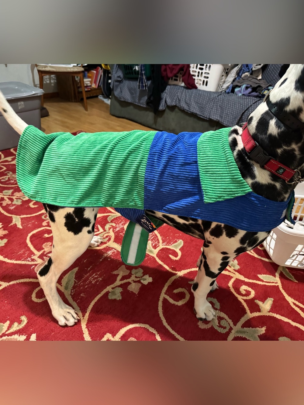 Blue & Green Dog Coat - Brand: YOULY